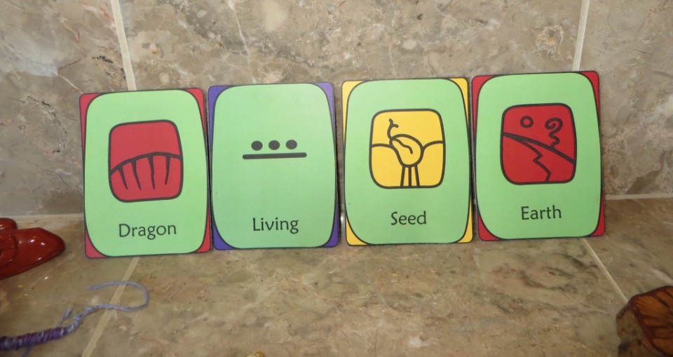 earth seeding action year cards